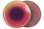 Red Iridium Polarized