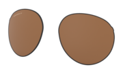 Forager Replacement Lens