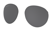 Forager Replacement Lens