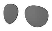 Forager (Low Bridge Fit) Replacement Lens Forager (Low Bridge Fit) Replacement Lens
