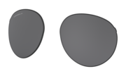 Forager (Low Bridge Fit) Replacement Lens