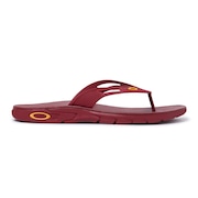 Oakley Ellipse Flip Oakley Ellipse Flip