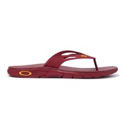 Oakley Ellipse Flip Oakley Ellipse Flip