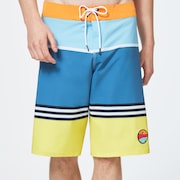 Striped 1975 Boardshort 21 Striped 1975 Boardshort 21