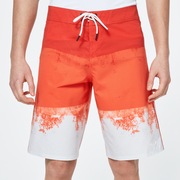 Color Block Shade Boardshort 21 Color Block Shade Boardshort 21