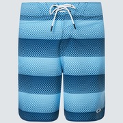 Dot Stripes Boardshort 19 Dot Stripes Boardshort 19