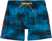 Orange County Palm Trunk Shorts - Forest