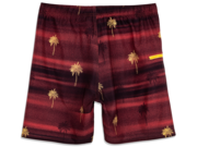Orange County Trunk Shorts - Rhone