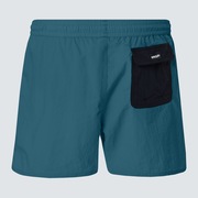 All Day 16 Beach Short - Bayberry