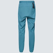 Foundational Packable Pant - Bayberry