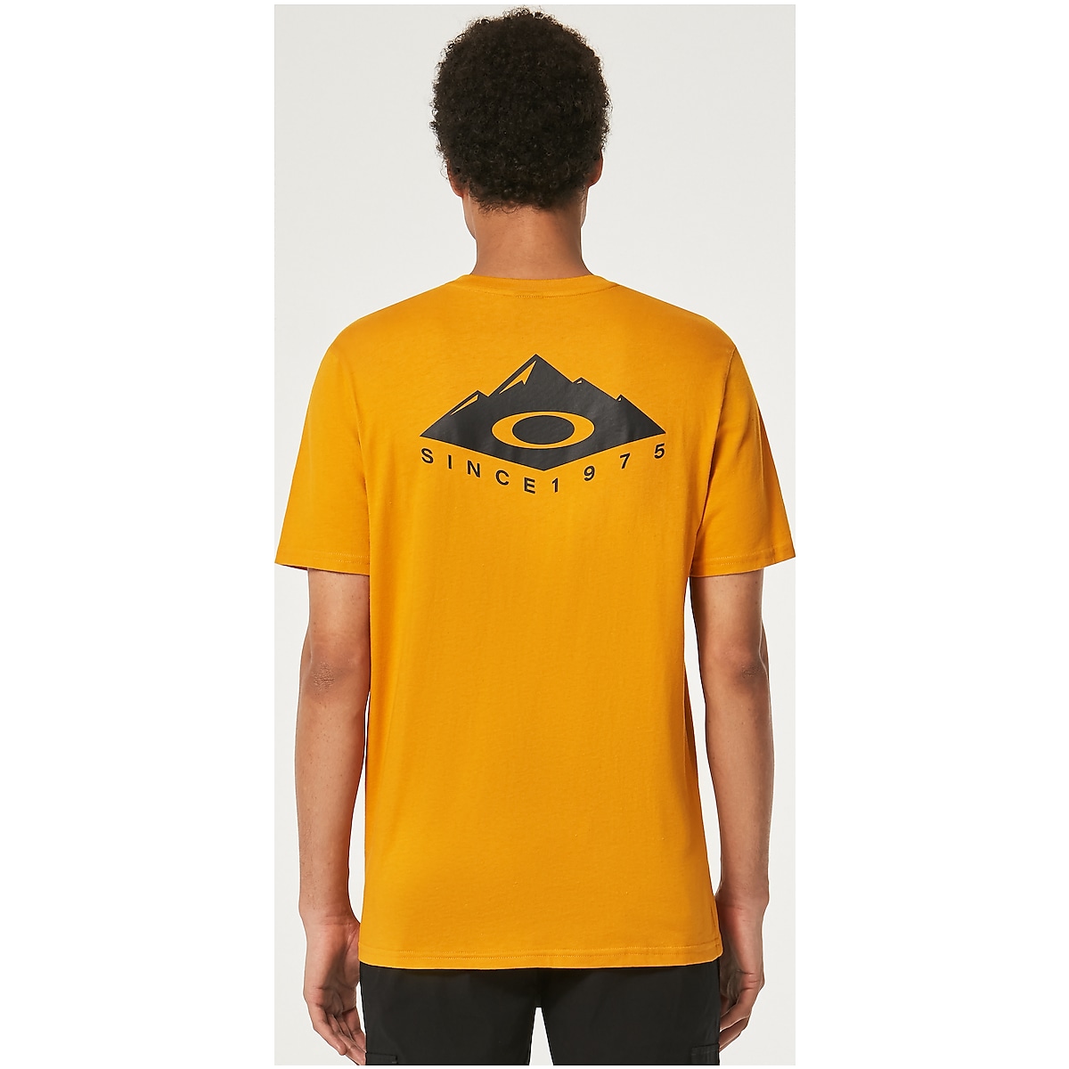 Camiseta Oakley Ellipse Tee - Masculina em Promoção