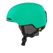 Mod1 MIPS99505MP 86V L