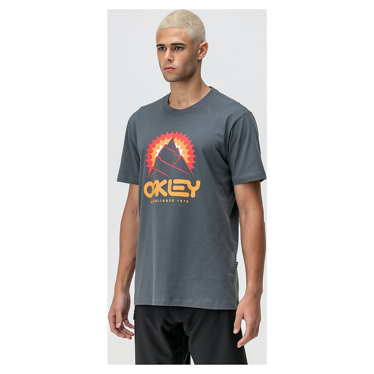 Camiseta Oakley Established Tee