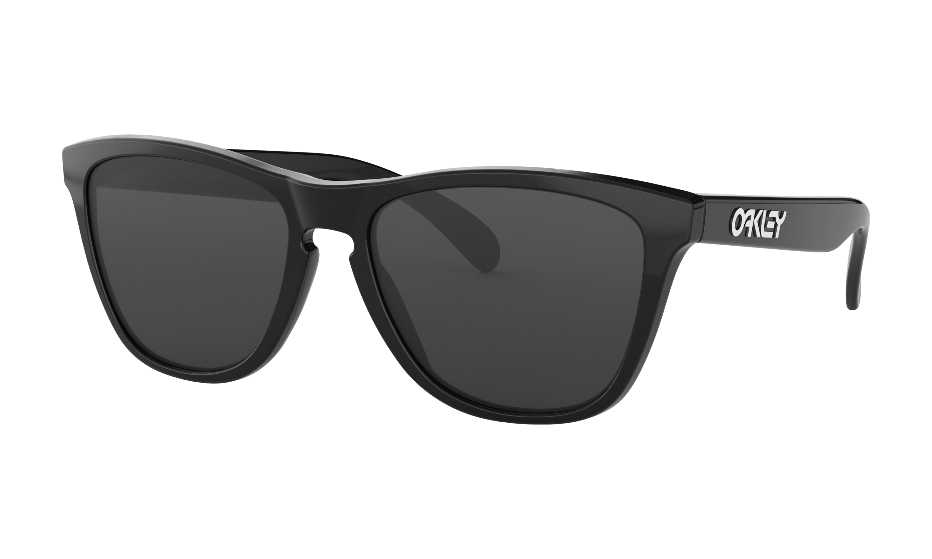 Frogskins™ Polished Black Sunglasses 