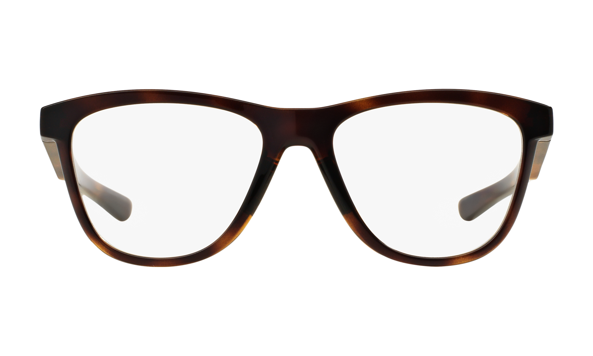 Grounded™ Polished Tortoise Eyeglasses 