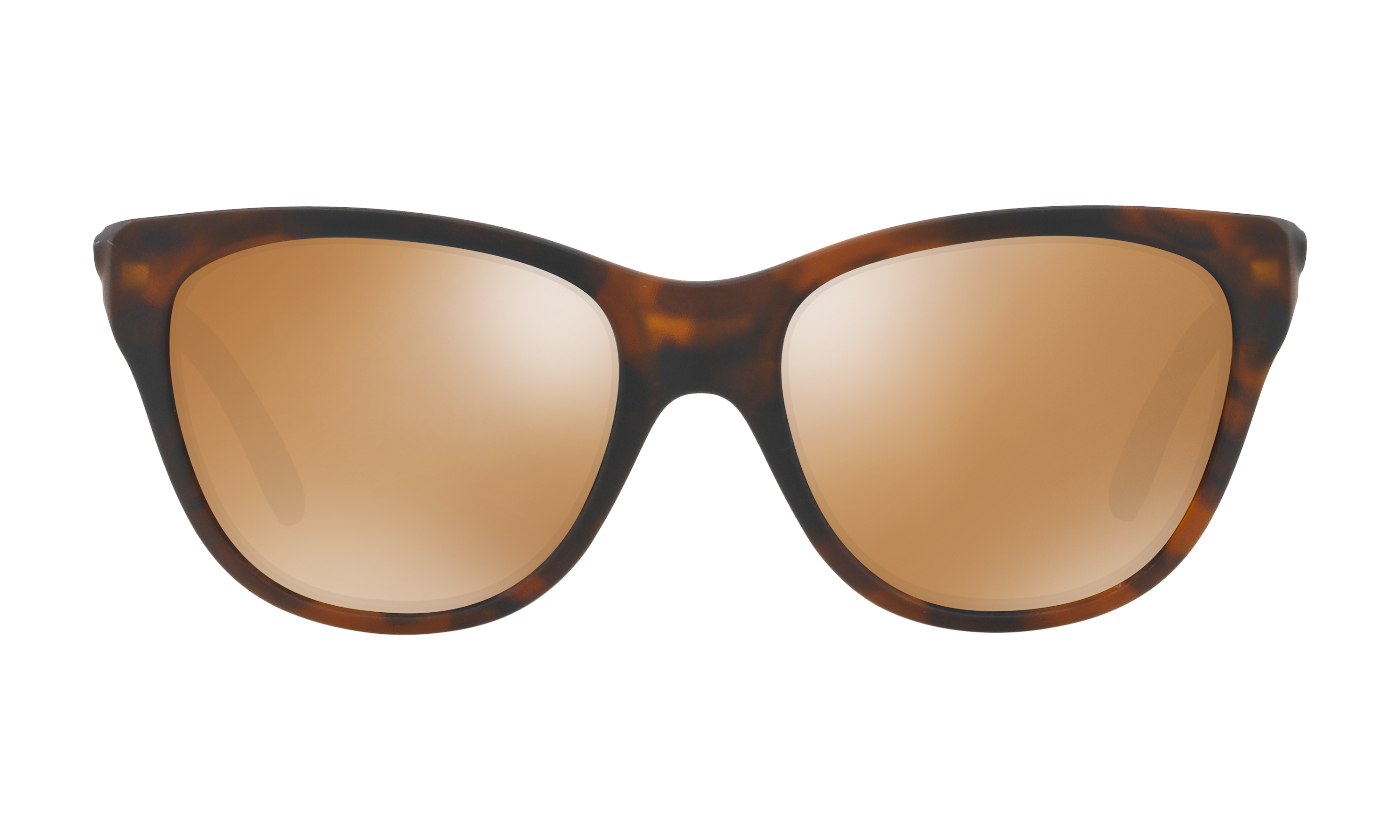 Hold Out Matte Brown Tortoise 