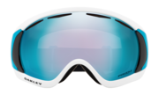 Canopy™ Snow Goggles - Tranquil Flurry Poseidon