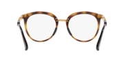 Top Knot™ - Polished Brown Tortoise